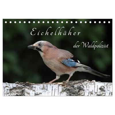 Eichelhäher der Waldpolizist (Tischkalender 2027 DIN A5 quer), CALVENDO Monatskalender