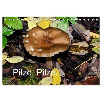 Pilze, Pilze (Tischkalender 2027 DIN A5 quer), CALVENDO Monatskalender