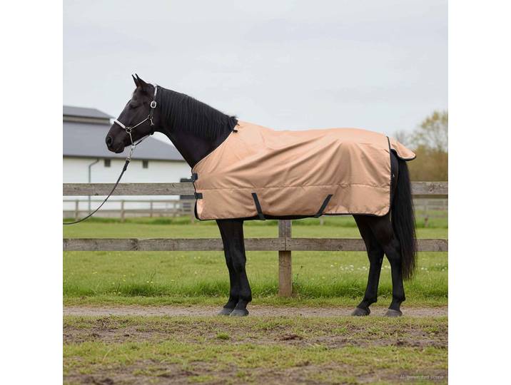 vidaXL Pferdedecke Cappuccino 155 cm Polyester