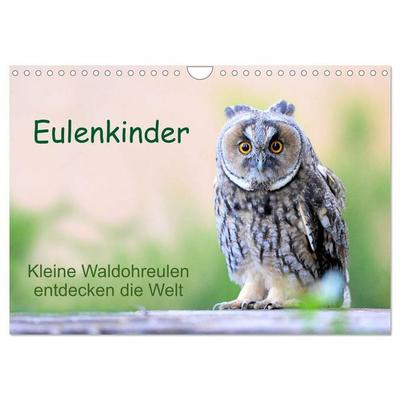 Eulenkinder - Kleine Waldohreulen entdecken die Welt (Wandkalender 2027 DIN A4 quer), CALVENDO Monatskalender