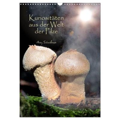 Kuriositäten aus der Welt der Pilze (Wandkalender 2026 DIN A3 hoch), CALVENDO Monatskalender