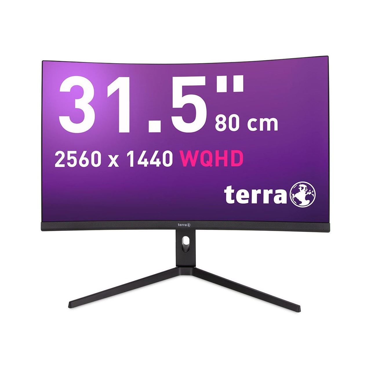 31.5" (80,01cm) Terra Curved 3285W schwarz 2560x1440 1xDisplayPort 1.4 / 2xHDMI 2.0