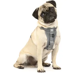Kurgo Tru-Fit Autosicherheitsgeschirr für Hunde, Größe XS, Grau