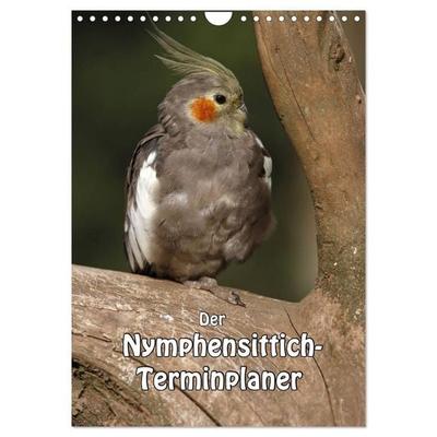 Der Nymphensittich-Terminplaner (Wandkalender 2026 DIN A4 hoch), CALVENDO Monatskalender