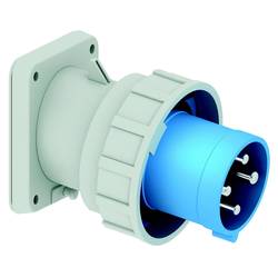 Bals Elektrotechnik 27010 27010 CEE Anbaustecker 63.0 A 4polig 230 V 1 St.