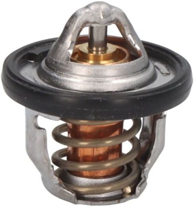Termóstato TOURMAX TMT-308