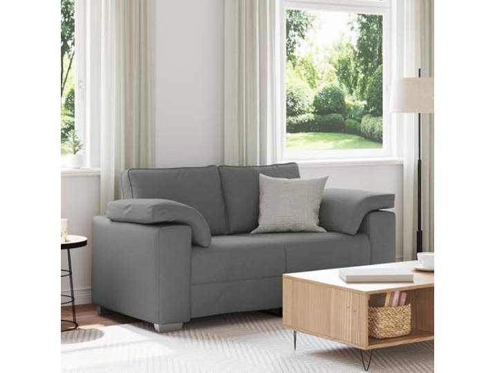 HEFZGDB Modernes 2-Sitzer Sofa Dunkelgrau 120 cm Stoff Wohnzimmer Komfort Sitzmöbel Elegantes Design mit rechteckiger Form und strapazierfähigen Materialien aus Holz und Metall