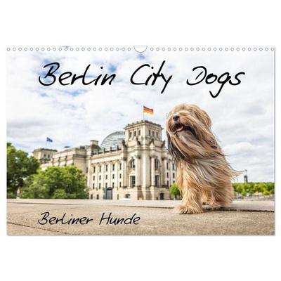 Berlin City Dogs - Berliner Hunde (Wandkalender 2027 DIN A3 quer), CALVENDO Monatskalender