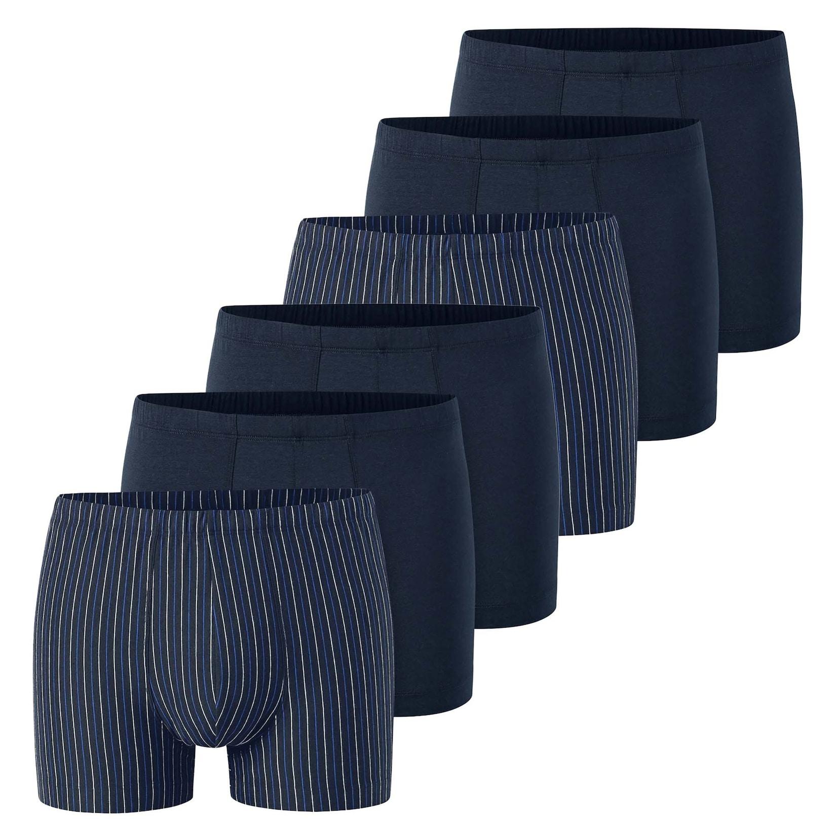 6PACK Shorts "95/5" Herren Boxershort