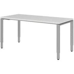 Röhr Schreibtisch Techno 140 x 80 cm Dekor