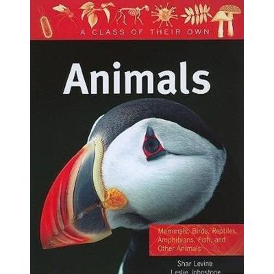 Animals: Mammals, Birds, Reptiles, Amphibians, Fish, and Other Animals, Taschenbuch von Shar Levine, Crabtree, 978-0-7787-5386-5