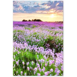 GARTENPOSTER Blumen - Lavendel - Lila - Himmel - Sonnenuntergang - Wiese - Natur Outdoor Bilder 80x120 cm