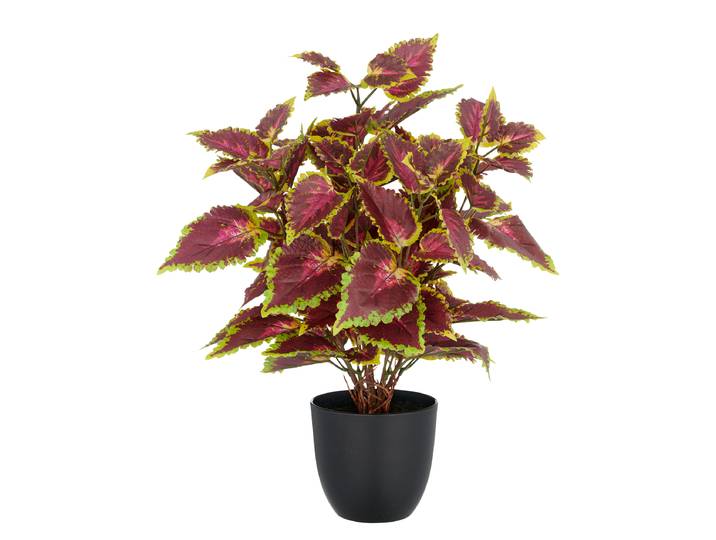 home24 Kunstplant Coleus Kong 25 x 40 x 25cm