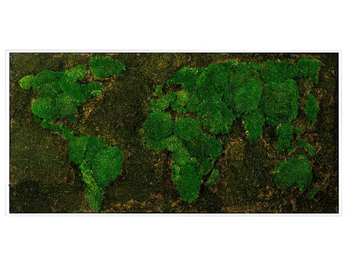 Bild mit Rahmen BÖNNINGHOFF Moosbild Weltkarte 60x120 cm, weisser Rahmen , grün (farbe rahmen: weiß, farbe bild(er): grün), B:120cm H:60cm T:5,5cm, Holzwerkstoff, Bilder, Bild mit Rahmen, handgefertigt, jedes Bild ein Unikat