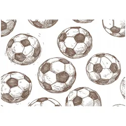 FOTOTAPETE Für einen Jungen Fußball Beige 350x250 cm