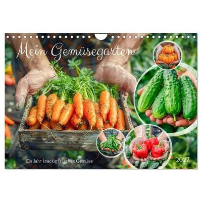 Mein Gemüsegarten - Ein Jahr knackig frisches Gemüse (Wandkalender 2027 DIN A4 quer), CALVENDO Monatskalender