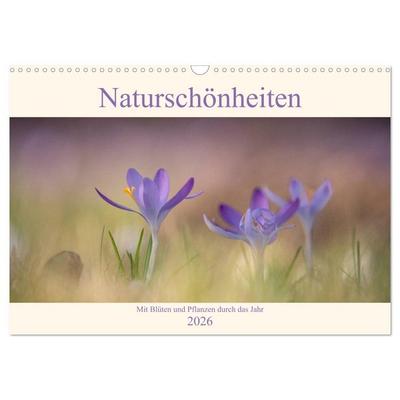 Naturschönheiten - mit Blüten und Pflanzen durch das Jahr (Wandkalender 2026 DIN A3 quer), CALVENDO Monatskalender