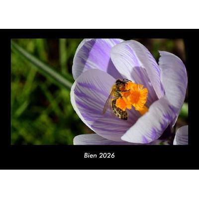 Bien 2026 Fotokalender DIN A3