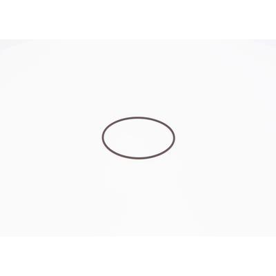 BOSCH Dichtring f01m100371 für GREAT WALL