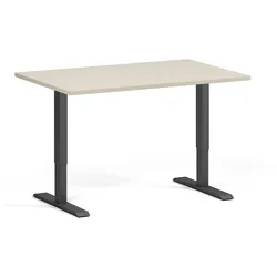 Höhenverstellbarer Schreibtisch, 2 Motoren, 74-121 cm, Tischplatte 120x80 cm, schwarzes Metallgestell, Birke