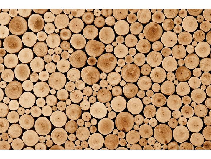 Fototapete PAPERMOON Round Teak Wood , bunt, B:4m L:2,6m, Vlies, Tapeten, Fototapete