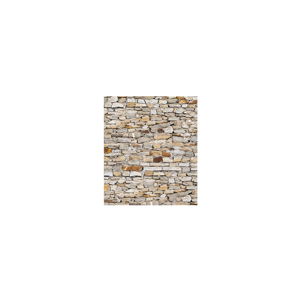 TETZNERJENT VETRO Glasscheibe MAUER B 1030 x H 1200 mm Motivdruck 16971321
