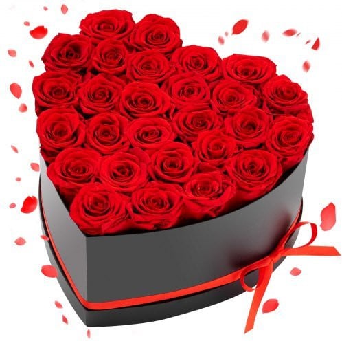 VEVOR Eeuwige Rozen Boeket met 27 Gestabiliseerde Bloemen in een Rood Hartvormige Doos