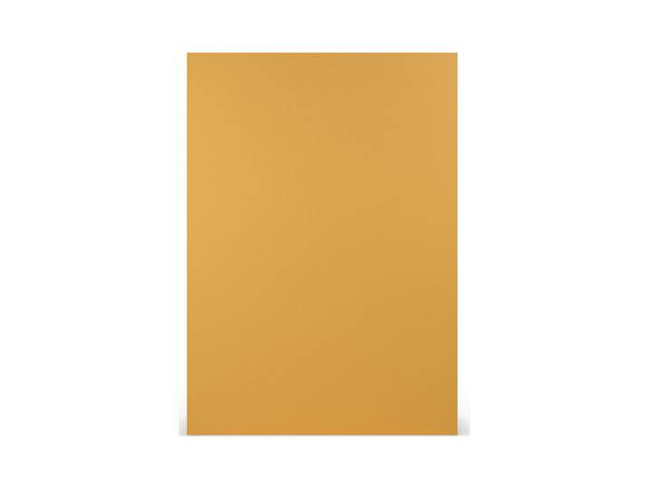 Paperado Karton DIN A4, FSC Mix Credit, 210x297mm, 220g/m2, Beutel 5Stück