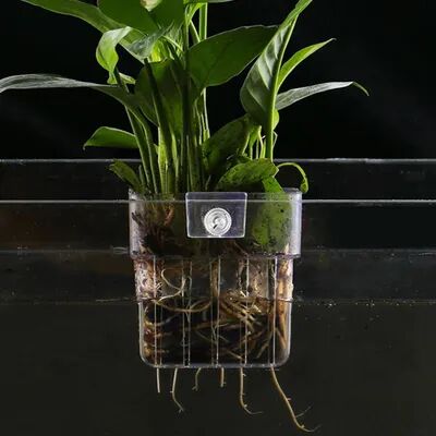 Youfap Market Hanging Pot Aquatic Plants Holder Aquarium Plant Cup Fish Tank Planter Hanging Pot Aquatic Plants Holder Aquarium Plant Cup Fish Tank Planter