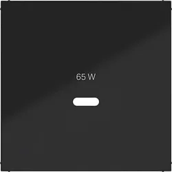 Hager Zentralst. f. USB-C PW Ax/Cx schw gl