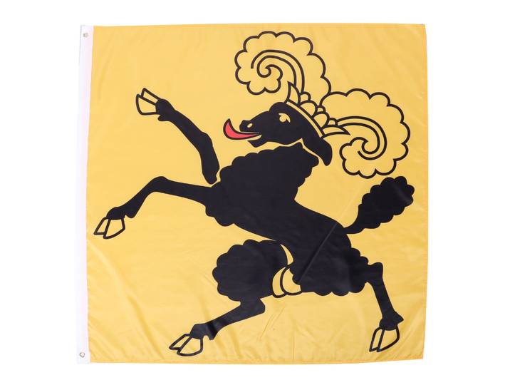 Kantonsflagge Schaffhausen 120 x 120 cm