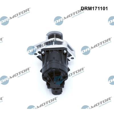 DR.MOTOR AUTOMOTIVE AGR-Ventil DRM171101 für MASERATI Chrysler LANCIA