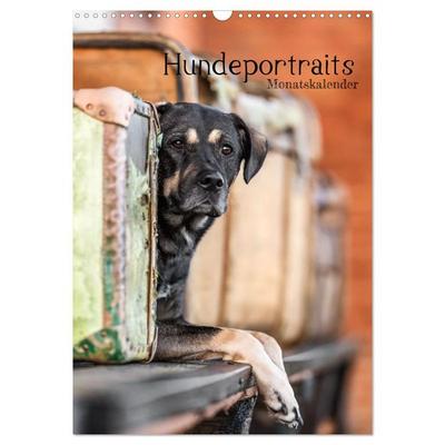 Hundeportraits - Monatskalender (Wandkalender 2026 DIN A3 hoch), CALVENDO Monatskalender