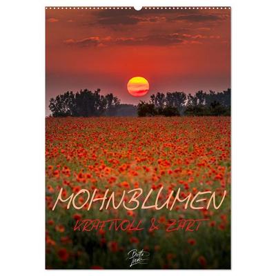 Mohnblumen - kraftvoll und zart (Wandkalender 2026 DIN A2 hoch), CALVENDO Monatskalender