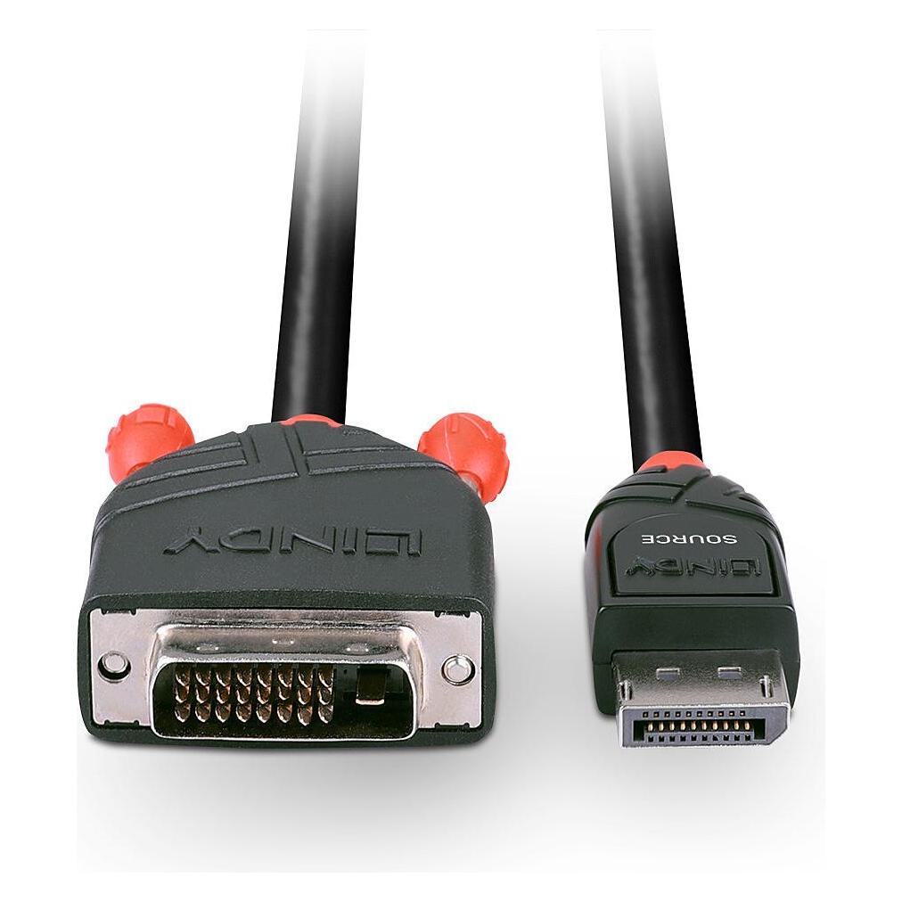 Lindy DisplayPort - DVI (0.50 m) (41489)