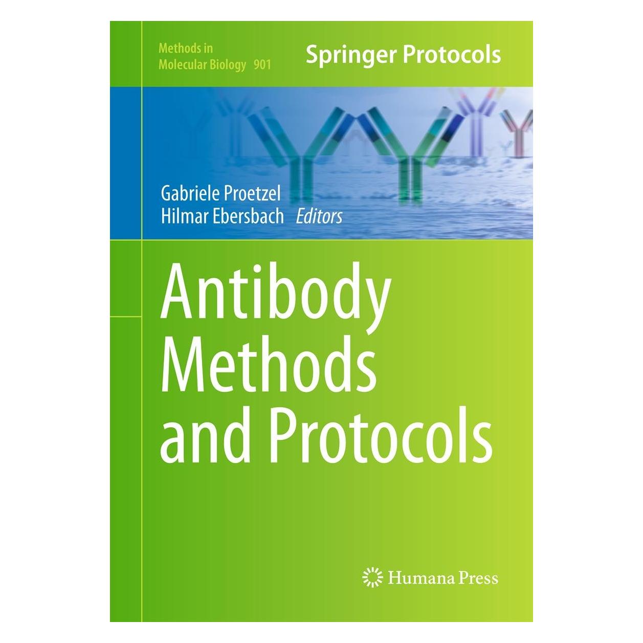 Springer Antibody Methods and Protocols (Englisch, Hardcover, Gabriele Proetzel, Hilmar Ebersbach) (9781617799303)
