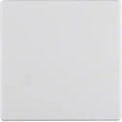 Berker 16206089 Wippe Q.1/Q.3 polarweiß, samt