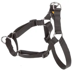 Red Dingo DINGO Easy Walk - Hundegeschirr - 95-125 cm (Hund, Allgemein), Halsband + Leine