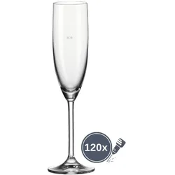 Leonardo Daily Sektglas mit Einschenkhilfe 0,1 l - 120 Stück (Gravur)