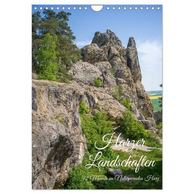Harzer Landschaften - 12 Monate im Naturparadies Harz (Wandkalender 2027 DIN A4 hoch), CALVENDO Monatskalender