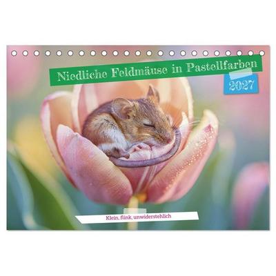 Niedliche Feldmäuse in Pastellfarben (Tischkalender 2027 DIN A5 quer), CALVENDO Monatskalender