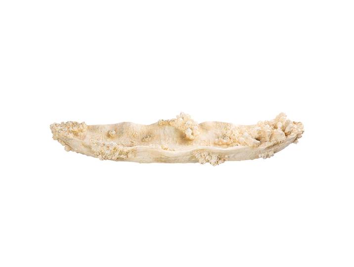 Schale Seychelles Amphora 32 x 11 x 24cm Beige