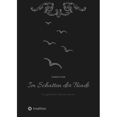 Im Schatten der Triade, Gebundene Ausgabe von Darius Link, Tredition, 978-3-384-13288-8