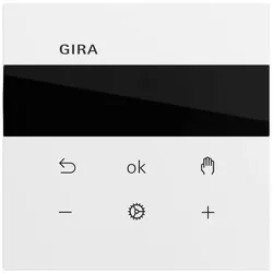 Gira S3000 RTR Display System 539370