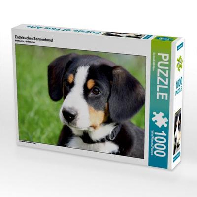 CALVENDO Puzzle Entlebucher Sennenhund | 1000 Teile Lege-Größe 64x48cm Foto-Puzzle für glückliche Stunden