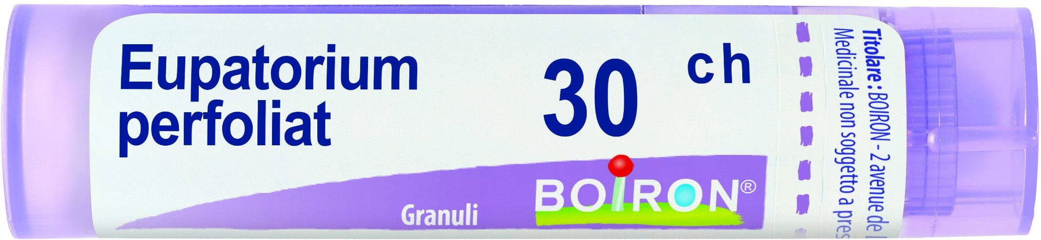 Boiron Eupatorium Perfoliatum 30 Ch