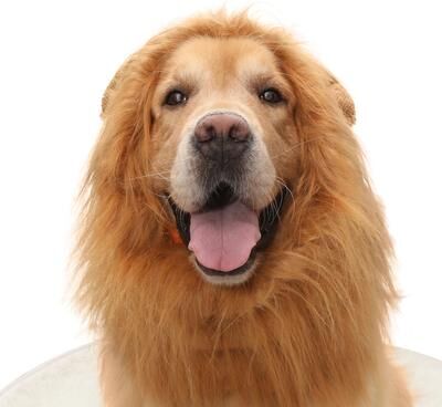 Fusion Finds Realistic Dog Lion Mane Costume Adjustable Pet Lion Wig For Halloween Parties & Cosplay light Brown m