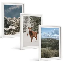 BILDER SET 3er Set - 40x60 cm Weißer Rahmen - Berge, Schnee, Hirsche, Waldlandschaft