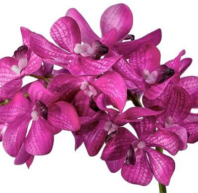 Regency International "Just Cut Vanda Orchid Spray 27"" Set of 4"