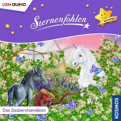 Das Zauberchamäleon - Cordula Setsman, Audio, 9783803288097